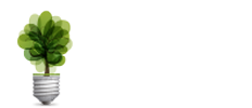 Web Serie
