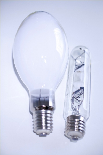 Preservação ambiental: 1,7 milhão de lâmpadas recicladas no primeiro trimestre de 2012